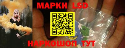 стаф Новокубанск