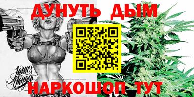 стаф Новокубанск