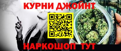 стаф Новокубанск