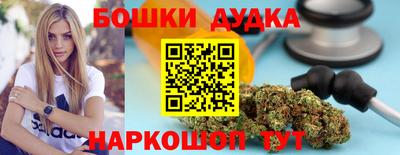 стаф Новокубанск