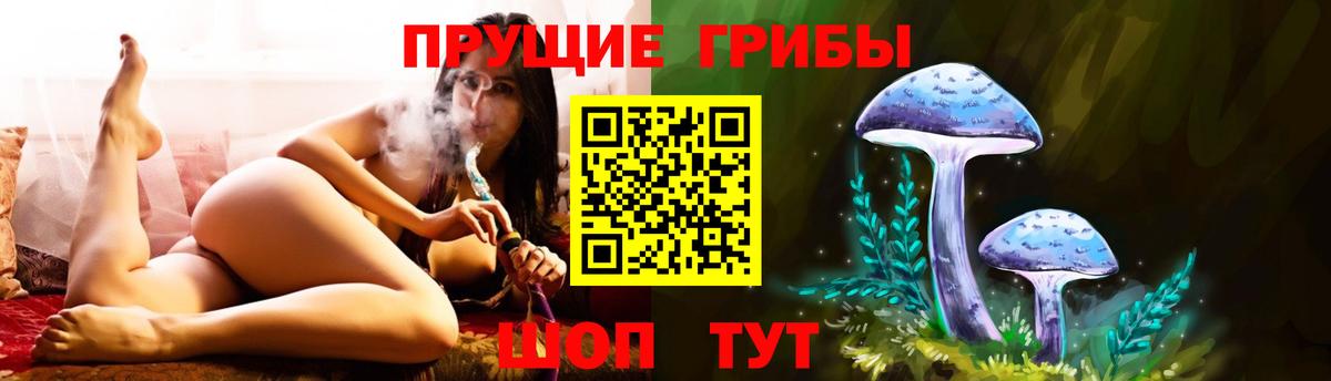 Урус-Мартан  Галлюциногенные грибы Psilocybe  где купить наркоту  Вход с VPN 